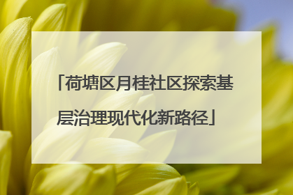 荷塘区月桂社区探索基层治理现代化新路径
