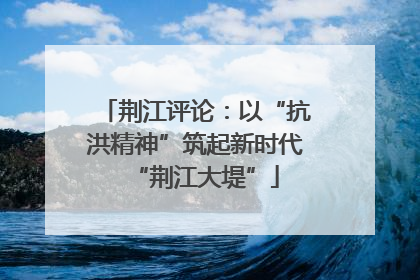 荆江评论：以“抗洪精神”筑起新时代“荆江大堤”