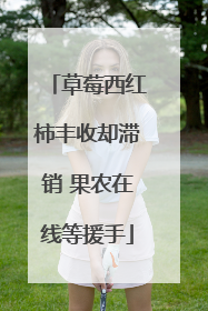 草莓西红柿丰收却滞销 果农在线等援手