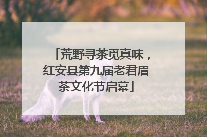 荒野寻茶觅真味，红安县第九届老君眉茶文化节启幕