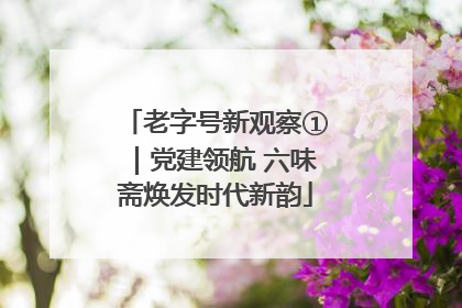 老字号新观察①｜党建领航 六味斋焕发时代新韵
