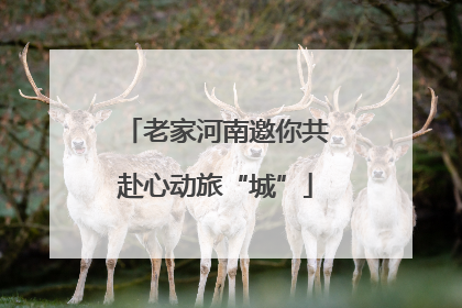 老家河南邀你共赴心动旅“城”