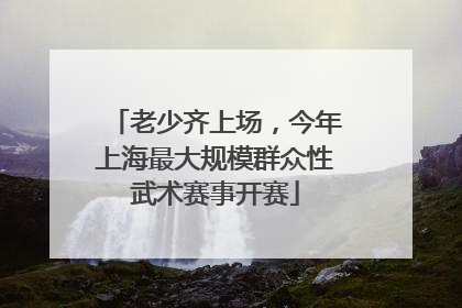 老少齐上场，今年上海最大规模群众性武术赛事开赛