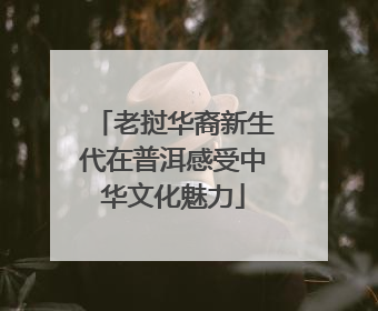 老挝华裔新生代在普洱感受中华文化魅力