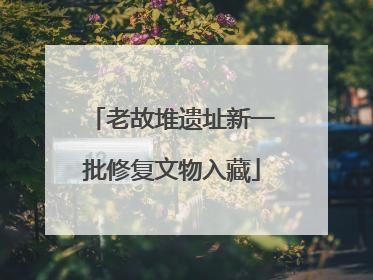 老故堆遗址新一批修复文物入藏