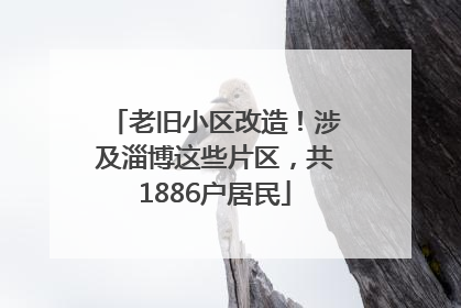 老旧小区改造！涉及淄博这些片区，共1886户居民