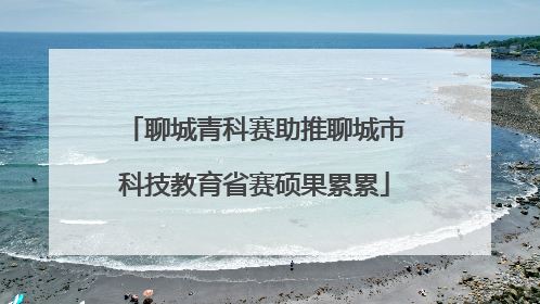 聊城青科赛助推聊城市科技教育省赛硕果累累