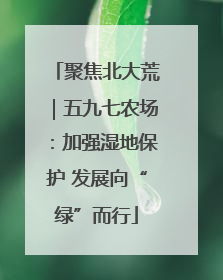聚焦北大荒｜五九七农场：加强湿地保护 发展向“绿”而行