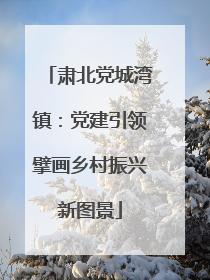 肃北党城湾镇：党建引领擘画乡村振兴新图景
