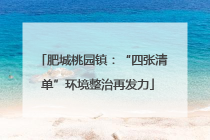 肥城桃园镇：“四张清单”环境整治再发力