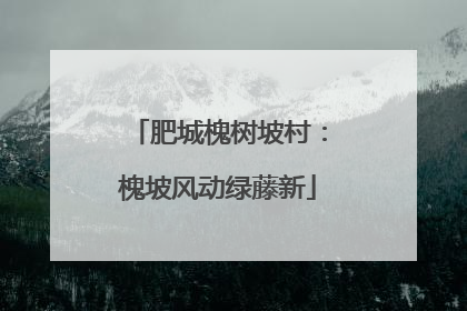 肥城槐树坡村：槐坡风动绿藤新