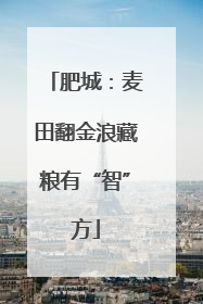 肥城：麦田翻金浪藏粮有“智”方