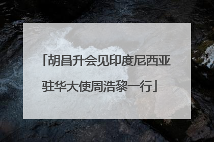 胡昌升会见印度尼西亚驻华大使周浩黎一行