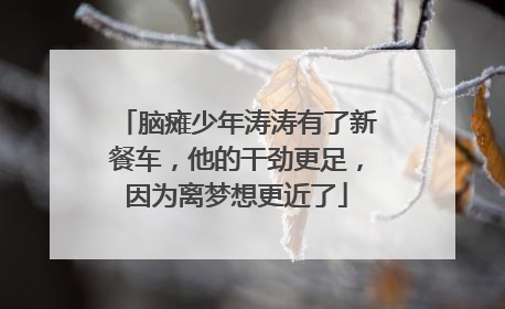 脑瘫少年涛涛有了新餐车，他的干劲更足，因为离梦想更近了