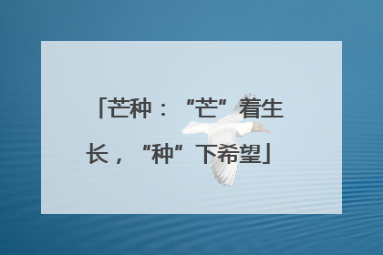 芒种：“芒”着生长，“种”下希望