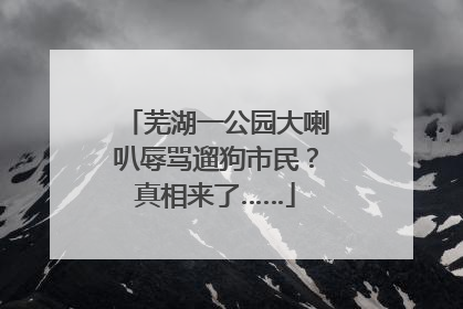 芜湖一公园大喇叭辱骂遛狗市民？真相来了……