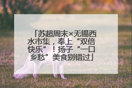 苏超周末×无锡西水市集，奉上“双倍快乐”！扬子“一口乡愁”美食别错过