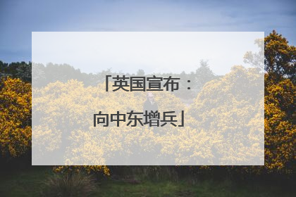 英国宣布：向中东增兵