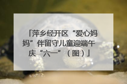 萍乡经开区“爱心妈妈”伴留守儿童迎端午庆“六一”（图）
