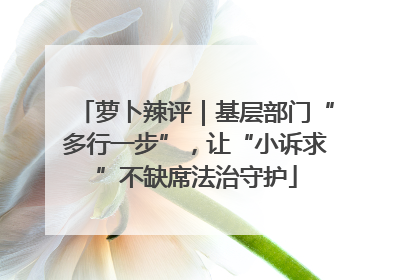 萝卜辣评｜基层部门“多行一步”，让“小诉求”不缺席法治守护