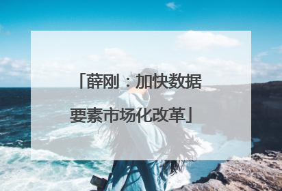 薛刚：加快数据要素市场化改革