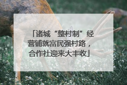 诸城“整村制”经营铺就富民强村路，合作社迎来大丰收