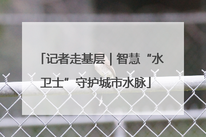 记者走基层｜智慧“水卫士”守护城市水脉