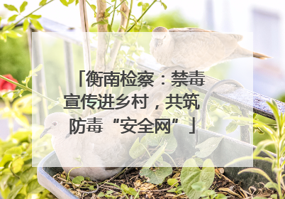 衡南检察：禁毒宣传进乡村，共筑防毒“安全网”