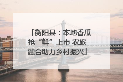 衡阳县：本地香瓜抢“鲜”上市 农旅融合助力乡村振兴