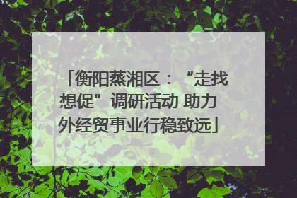 衡阳蒸湘区：“走找想促”调研活动 助力外经贸事业行稳致远