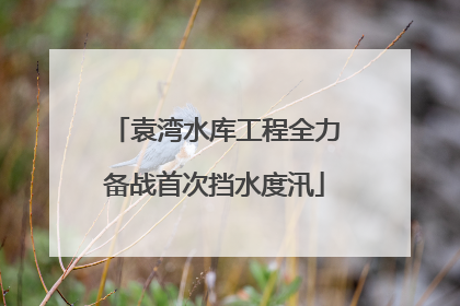 袁湾水库工程全力备战首次挡水度汛