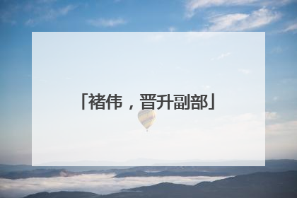 褚伟，晋升副部