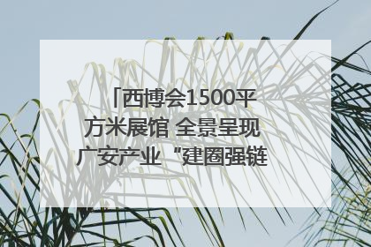 西博会1500平方米展馆 全景呈现广安产业“建圈强链”｜西博视界