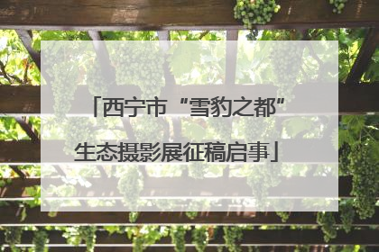 西宁市“雪豹之都”生态摄影展征稿启事