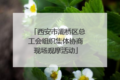 西安市灞桥区总工会组织集体协商现场观摩活动