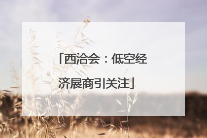 西洽会：低空经济展商引关注