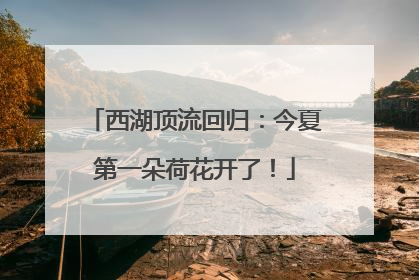 西湖顶流回归：今夏第一朵荷花开了！