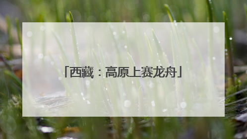 西藏：高原上赛龙舟