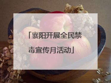 襄阳开展全民禁毒宣传月活动