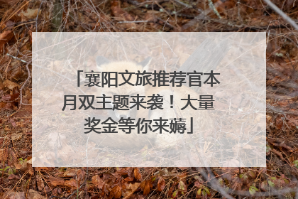 襄阳文旅推荐官本月双主题来袭！大量奖金等你来薅