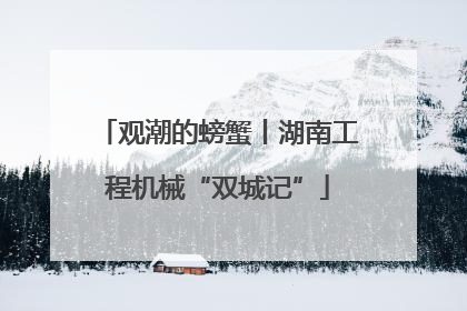 观潮的螃蟹丨湖南工程机械“双城记”