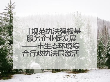 规范执法强根基 服务企业促发展——市生态环境综合行政执法局激活营商环境“绿色动能”