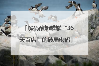 解码酸奶罐罐“36天百店”的破局密码