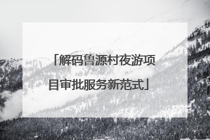 解码鲁源村夜游项目审批服务新范式