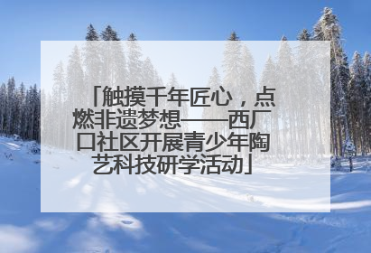 触摸千年匠心，点燃非遗梦想——西厂口社区开展青少年陶艺科技研学活动