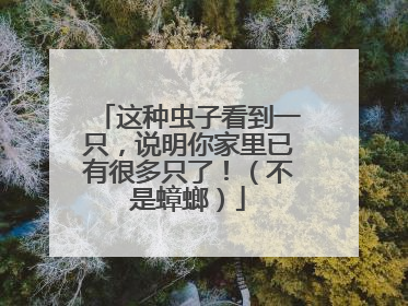 这种虫子看到一只，说明你家里已有很多只了！（不是蟑螂）