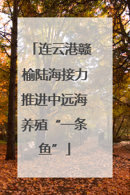 连云港赣榆陆海接力推进中远海养殖“一条鱼”