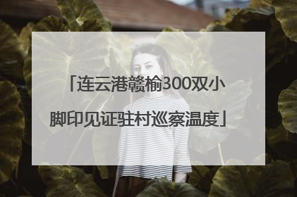 连云港赣榆300双小脚印见证驻村巡察温度