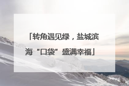 转角遇见绿，盐城滨海“口袋”盛满幸福