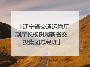 辽宁省交通运输厅副厅长杨树履新省交投集团总经理